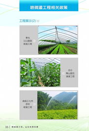 节水增效，智慧灌溉——宁波市水利局喷微灌技术推广应用宣传册